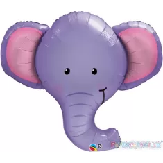 SS TESTA ELEFANTE