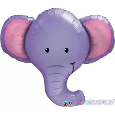 SS TESTA ELEFANTE
