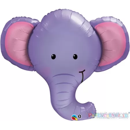 SS TESTA ELEFANTE