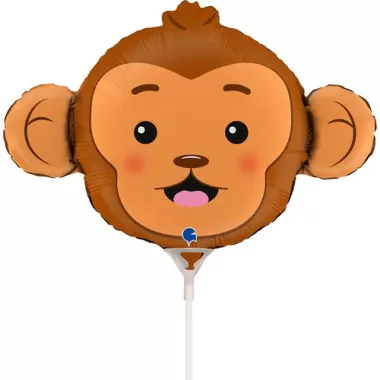 14" MS SCIMMIA MINI pz.10