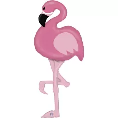 AW FENICOTTERO FLAMINGO 2
