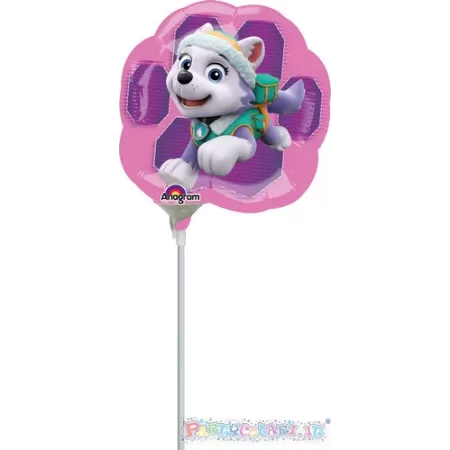 MS SKYE PAW PATROL pz.3