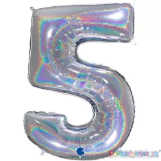 MYLAR 100 ARGENTO HOLO 5