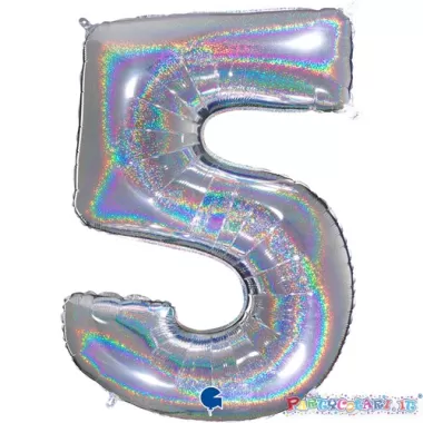 MYLAR 100 ARGENTO HOLO 5