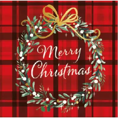 TOVAGLIOLO 25X25 CHRISTMAS PLAID pz.20